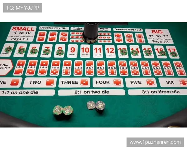 PA百家乐中的常见误区与应对方法